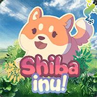 Shiba Inu